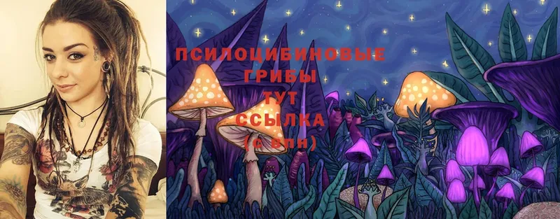 Псилоцибиновые грибы Cubensis  где продают наркотики  Гагарин 